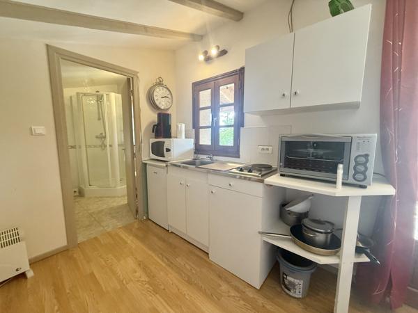 Bourg-de-Visa (82190) TARN ET GARONNE. BOURG DE VISA Superbe Maison Quercynoise en Pierre avec Maison d’Amis, Appartement, Piscine