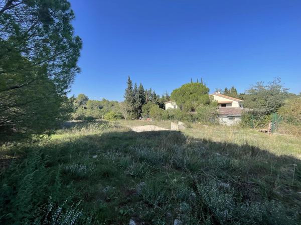 Vente Terrain 921 m2 à Saint-Georges-d'Orques