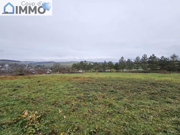 Terrain