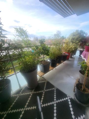 Olivet val appartement au calme de 46.06m² Vendu Loué