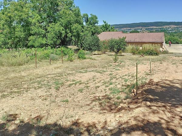 maison individuelle avec grand jardin et piscine