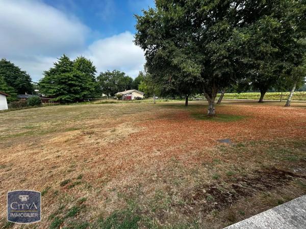 Maison à louer 6 pièces 110.9m² Bretagne-de-Marsan (40280)