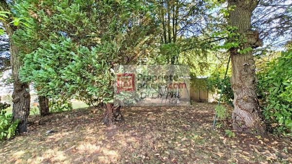 Maison  Terrasse  Jardin  5 pièces  121 m2   La Celle Saint Cloud  Châtaigneraie