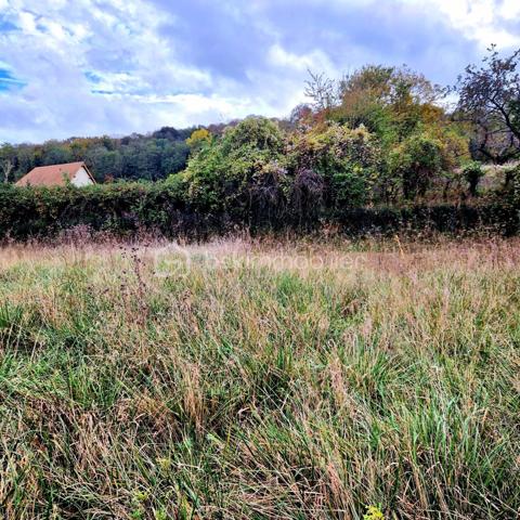 Local d activites de 780 m²