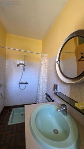 Fermette à vendre à Vicq-sur-Nahon dans l'Indre (36600), ref : 021/1580
