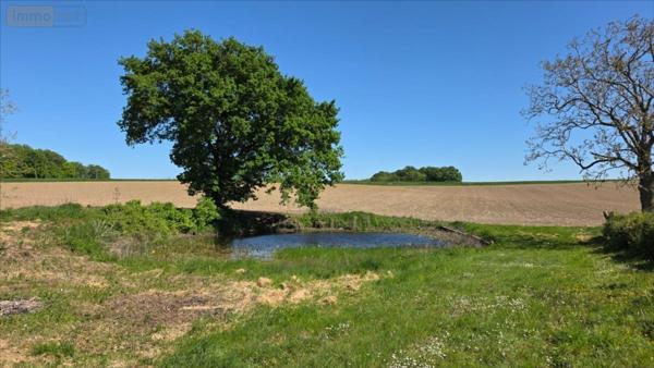 Fermette à vendre à Vicq-sur-Nahon dans l'Indre (36600), ref : 021/1580