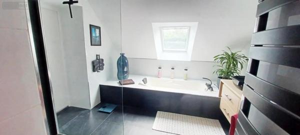 Achat - Propriété Laillé 35890 11 pièces 249 m 2 1100 m 2