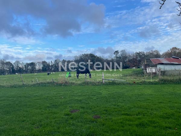 Maison de plain-pied avec 1 hectare de terrain - Proche Questembert centre