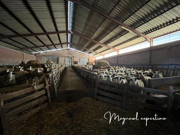 Ferme ovine de 39 HA avec fermages complémentaires possibles dans le LOT 46 OCCITANIE