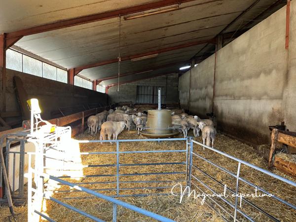 Ferme ovine de 39 HA avec fermages complémentaires possibles dans le LOT 46 OCCITANIE
