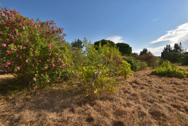 PUGET VILLE (83) - CABANON DE 32M² SUR PARCELLE DE 5748M²