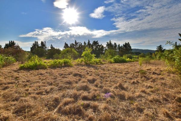 PUGET VILLE (83) - CABANON DE 32M² SUR PARCELLE DE 5748M²