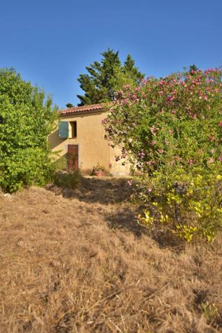 PUGET VILLE (83) - CABANON DE 32M² SUR PARCELLE DE 5748M²