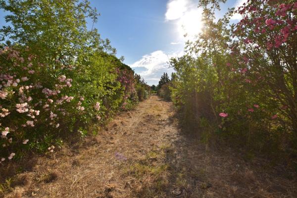 PUGET VILLE (83) - CABANON DE 32M² SUR PARCELLE DE 5748M²