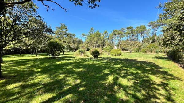 L'équilibre parfait entre espace et nature