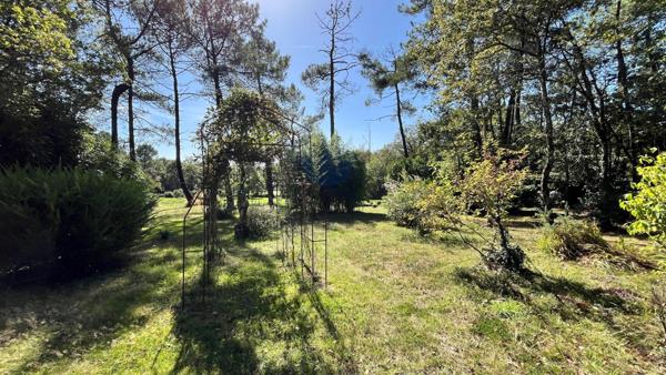 L'équilibre parfait entre espace et nature