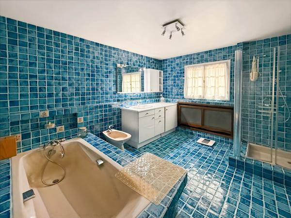 Vente Maison 9 pièces 291 m2 à Limeil-Brévannes