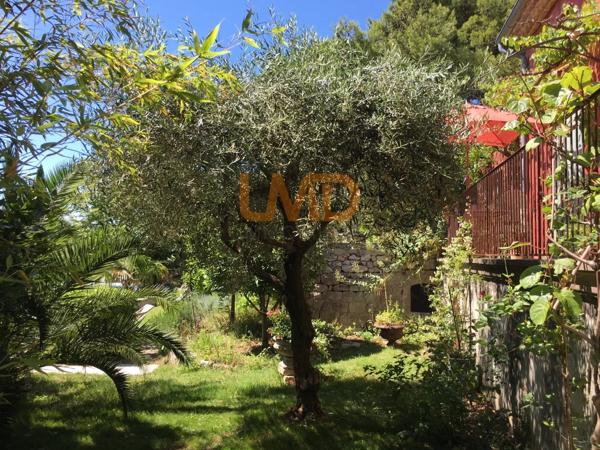 Propriete Dans UN Univers Bucolique