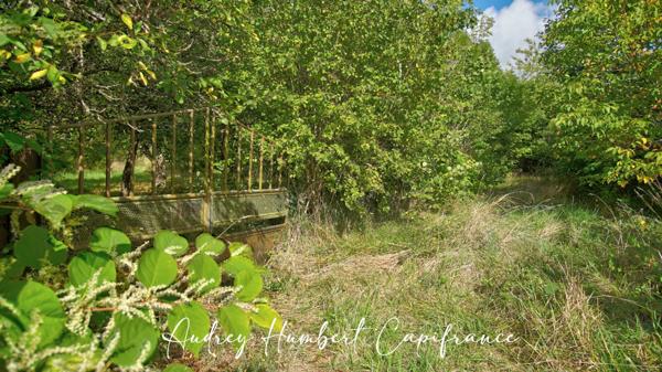 Terrain à vendre VIGNEULLES LES HATTONCHATEL (55) - Verger 7522 m²