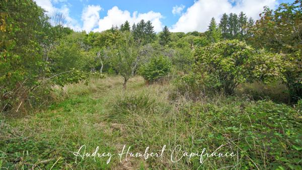 Terrain à vendre VIGNEULLES LES HATTONCHATEL (55) - Verger 7522 m²