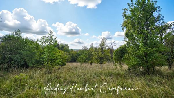 Terrain à vendre VIGNEULLES LES HATTONCHATEL (55) - Verger 7522 m²