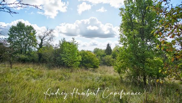 Terrain à vendre VIGNEULLES LES HATTONCHATEL (55) - Verger 7522 m²