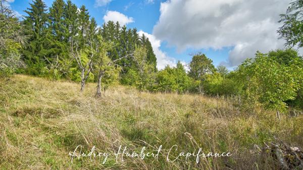 Terrain à vendre VIGNEULLES LES HATTONCHATEL (55) - Verger 7522 m²