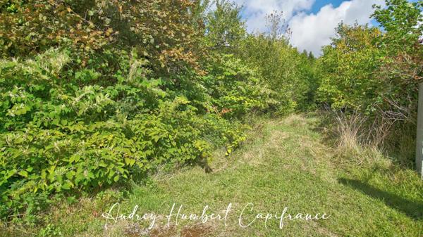 Terrain à vendre VIGNEULLES LES HATTONCHATEL (55) - Verger 7522 m²