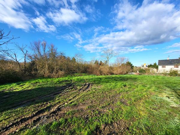 Terrain Bellevigne En Layon 942 m2