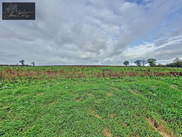 Réquista (12170) Belle Ferme avec dépendances, 3 chambres et terrain de 2500m² à Réquista