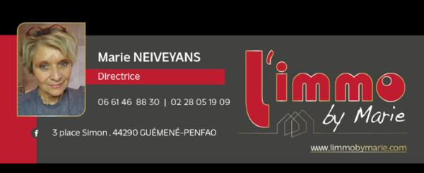 Vente maison Guemene Penfao : 132 880 € - AJP By Marie