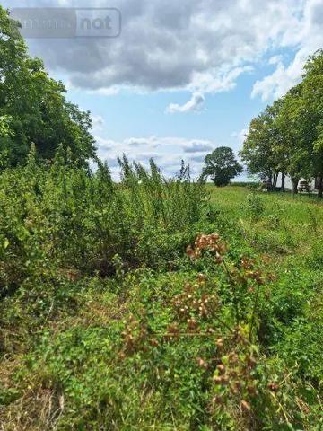 Achat - Maison | Maison Échemines 10350 220 m 2