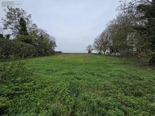 Achat - Maison | Maison Échemines 10350 220 m 2