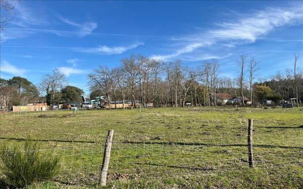Terrain à vendre |  Hourtin |  1110 m²