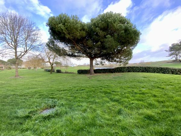 Appartement 3 pièces - 34 m² Exclusivité efficity