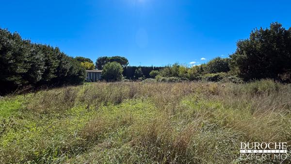 Caderousse – Terrain à bâtir de 1 369 m² libre constructeur, au calme