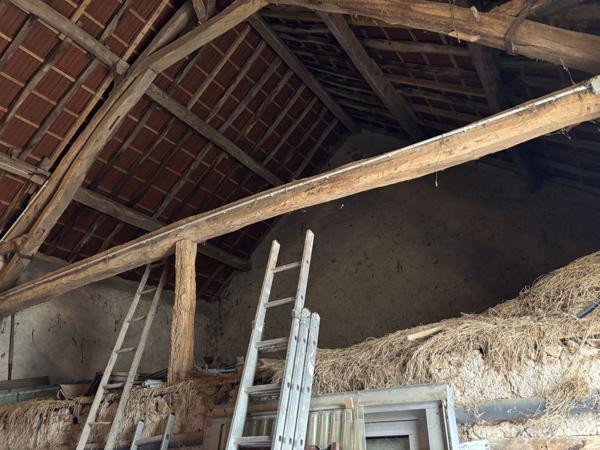 Couleuvre - Ferme résidentielle avec près de 12 hectares de terrain Couleuvre (03320)