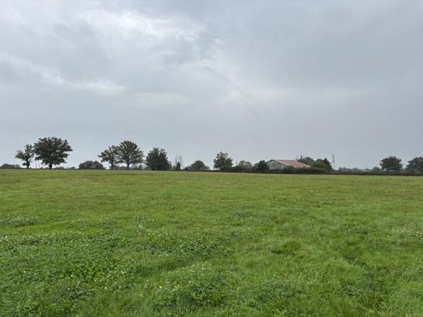 Couleuvre - Ferme résidentielle avec près de 12 hectares de terrain Couleuvre (03320)