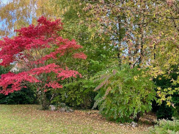 Divonne-les-Bains (01220) Maison de prestige avec cinq chambres