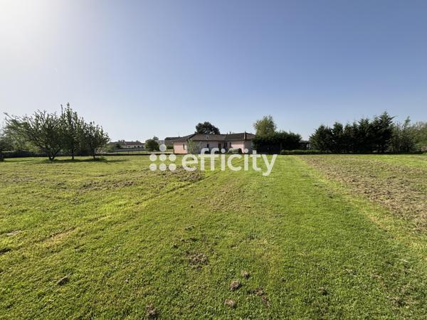 Terrain
        
        - 1628 m² Exclusivité 150 000 € *