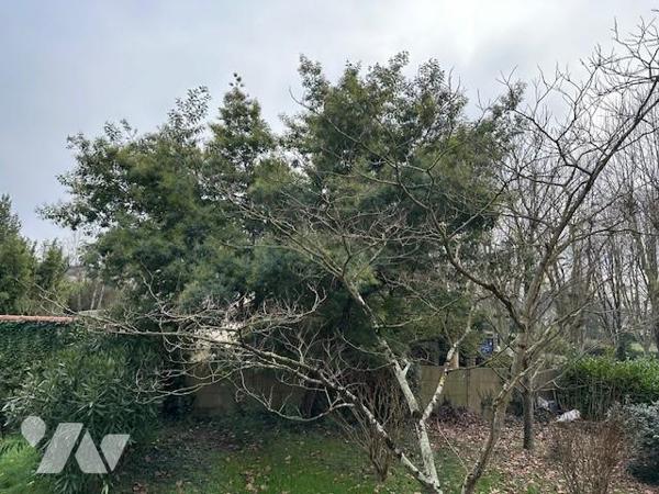 TERRAIN À BÂTIR 610 m² – ANGERS SUD (proche commodités et tramway)