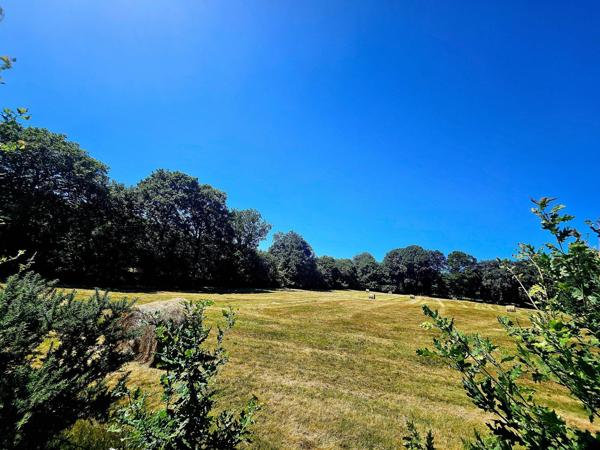 8,93 hectares de nature préservée avec ruisseau .