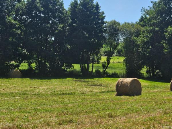 8,93 hectares de nature préservée avec ruisseau .