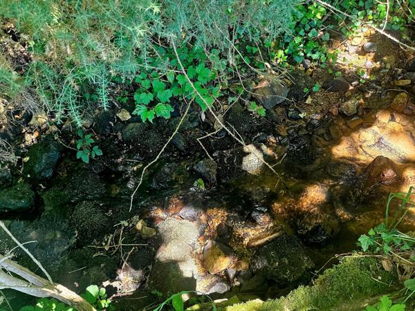 8,93 hectares de nature préservée avec ruisseau .
