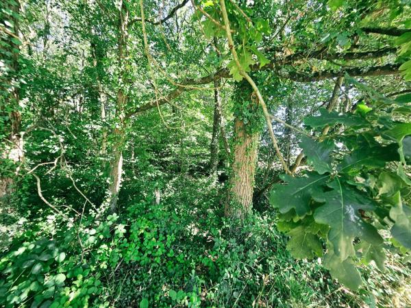 8,93 hectares de nature préservée avec ruisseau .