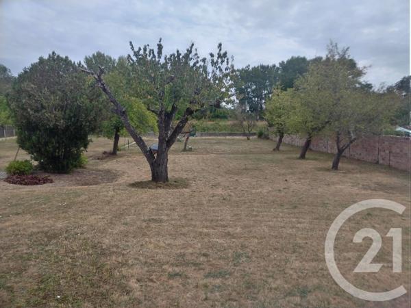 Terrain à vendre  1159 m 2   CHAMPIGNY  - 89