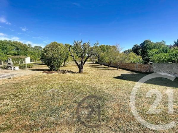 Terrain à vendre  1159 m 2   CHAMPIGNY  - 89