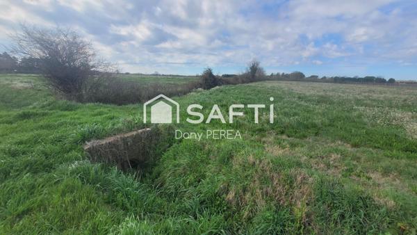 Terrain agricole de 4304m2