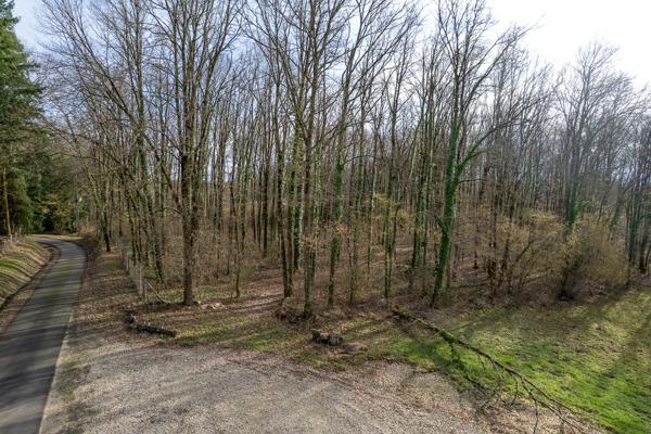 Terrain constructible - 6783 m² - Boisé -