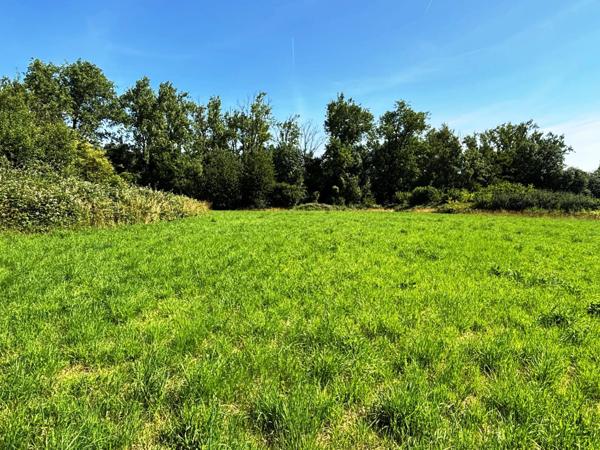 Vente Local industriel 3660 m2 à Busigny